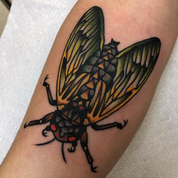 Colored Cicada tattoo on arm
