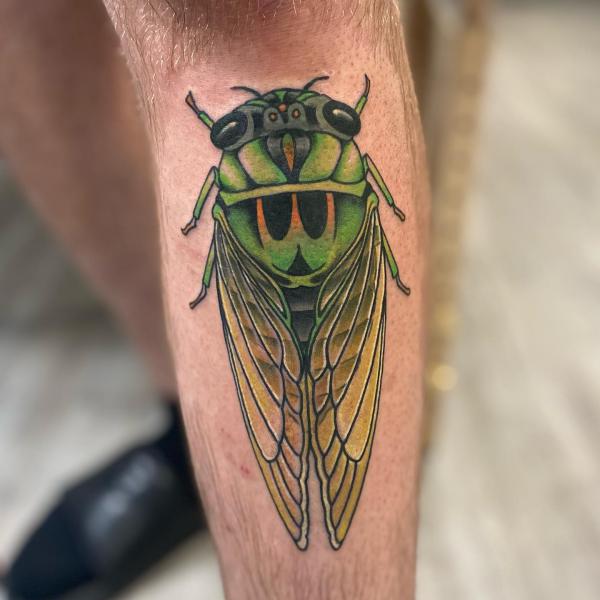 Colored cicada lower leg tattoo