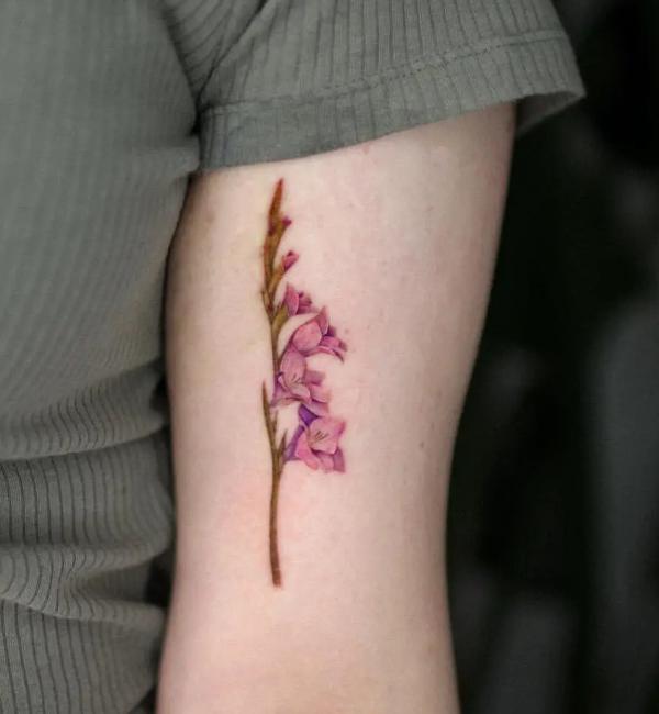 Cute gladiolus upper arm tattoo