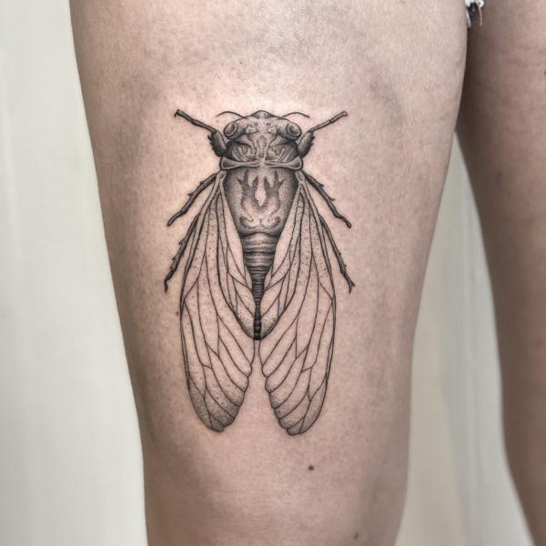 Dotwork cicada thigh tattoo