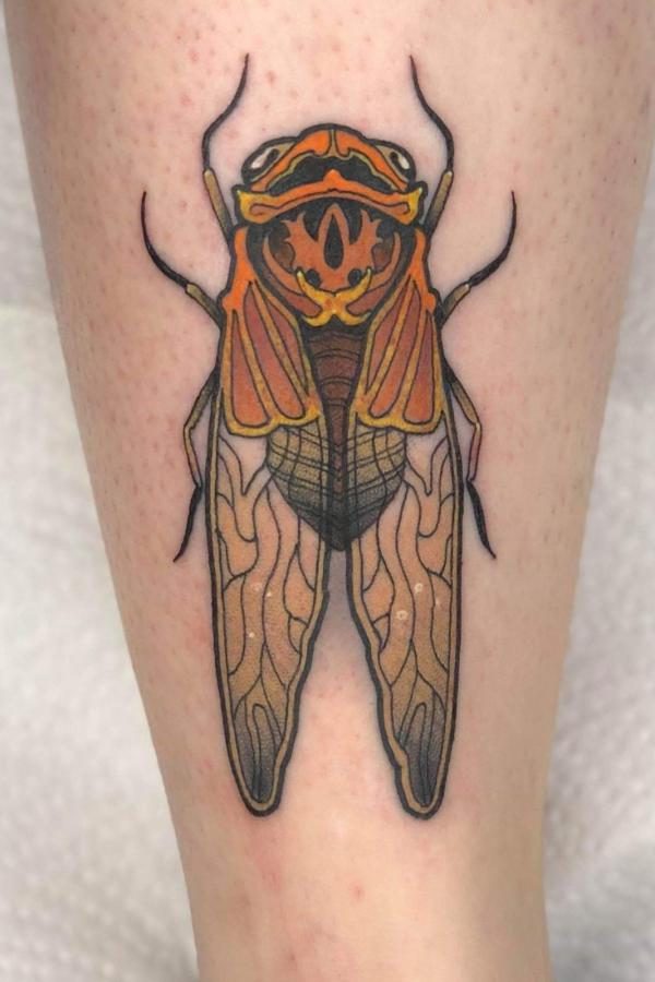 Fine line cicada tattoo
