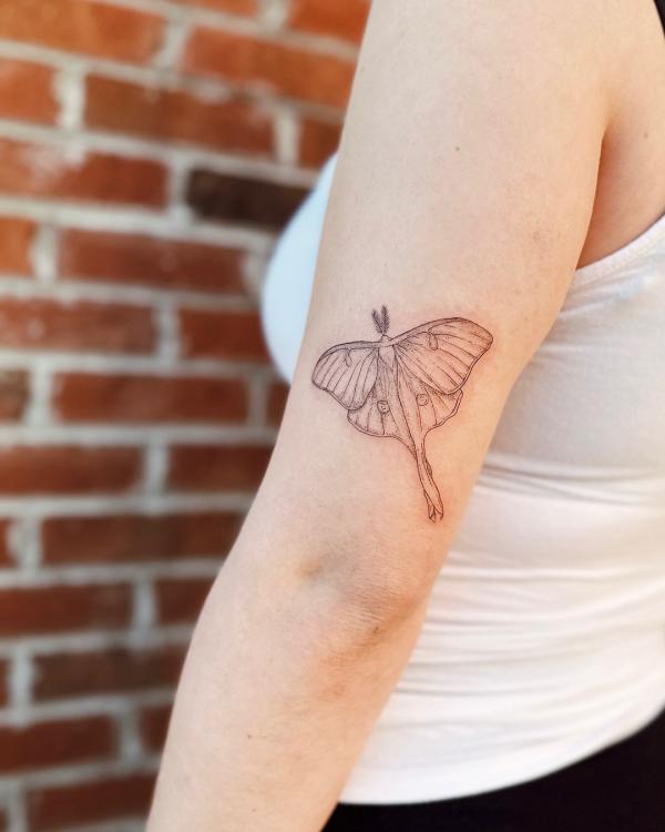 Fine line luna moth tattoo above elbow