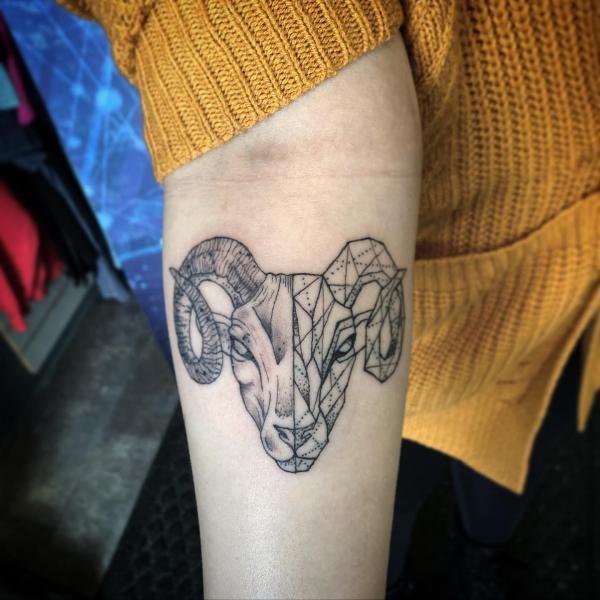 Half ram head half geometric tattoo below inner elbow