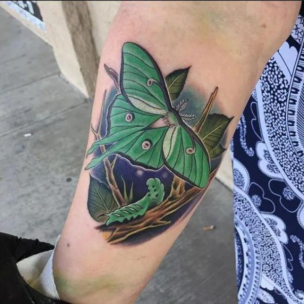 Luna moth and caterpillar tattoo realistic