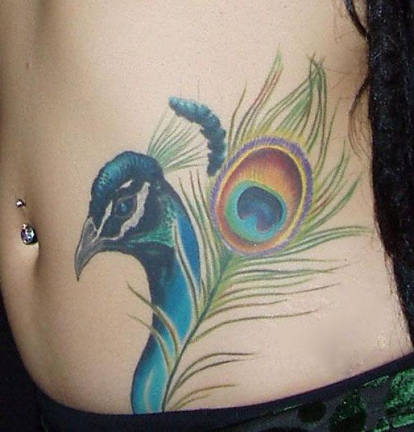 Peacock head and feather stomach tattoo