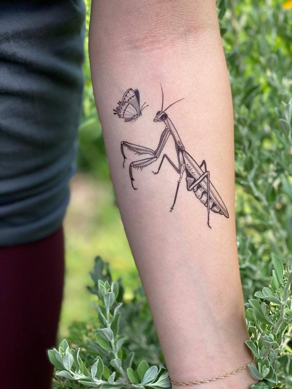 Praying mantis and butterfly tattoo