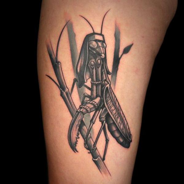 Praying mantis warrior perched on bamboo tattoo
