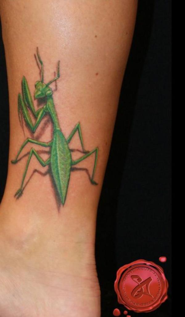 Realistic Praying mantis tattoo on forearm