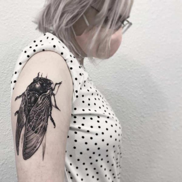 Realistic black cicada tattoo on upper arm