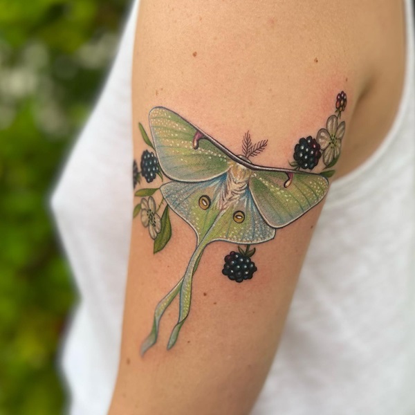 Realistic luna moth and berry tattoo