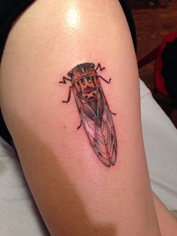 Small Cicada tattoo on thigh