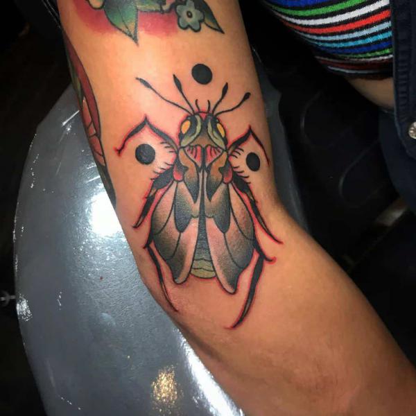 Traditional Cicada arm tattoo