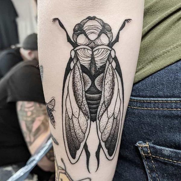 dotwork cicada tattoo