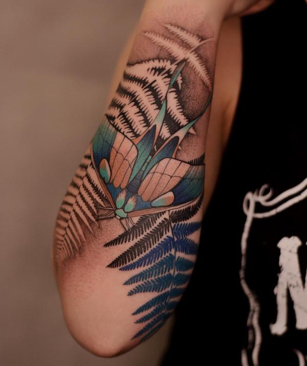 luna moth and fern tattoo on forearm