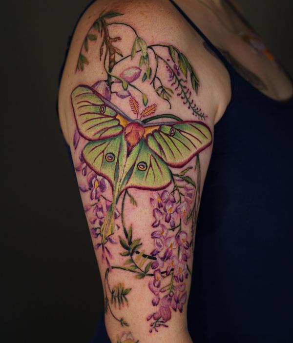 luna moth and wisteria tattoo