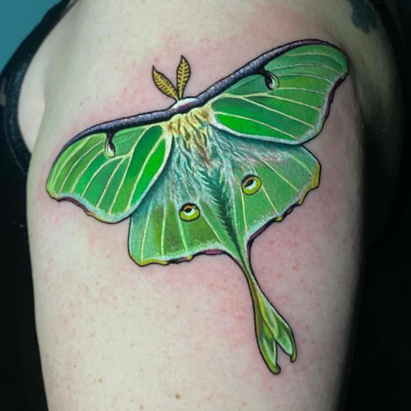 luna moth shoulder tattoo