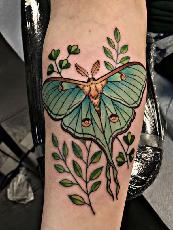 luna moth with leaves tattoo