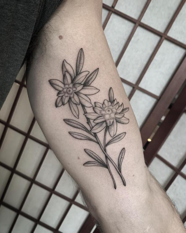 Black and grey edelweiss upper arm tattoo