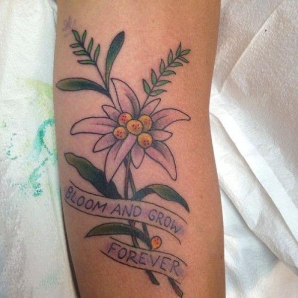 Colored edelweiss tattoo With words Bloom and Grow Forever