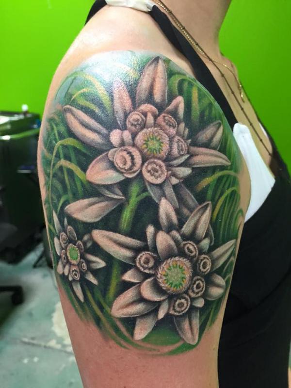 Three edelweiss tattoo shoulder