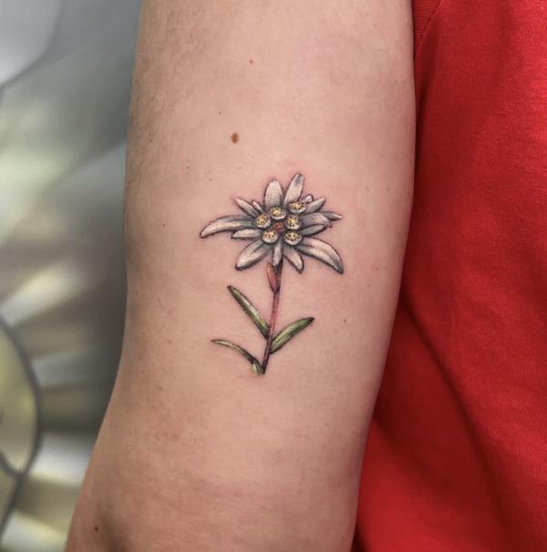 White edelweiss back of arm tattoo