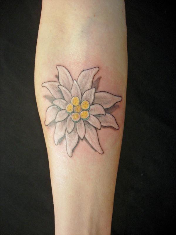 White edelweiss forearm tattoo