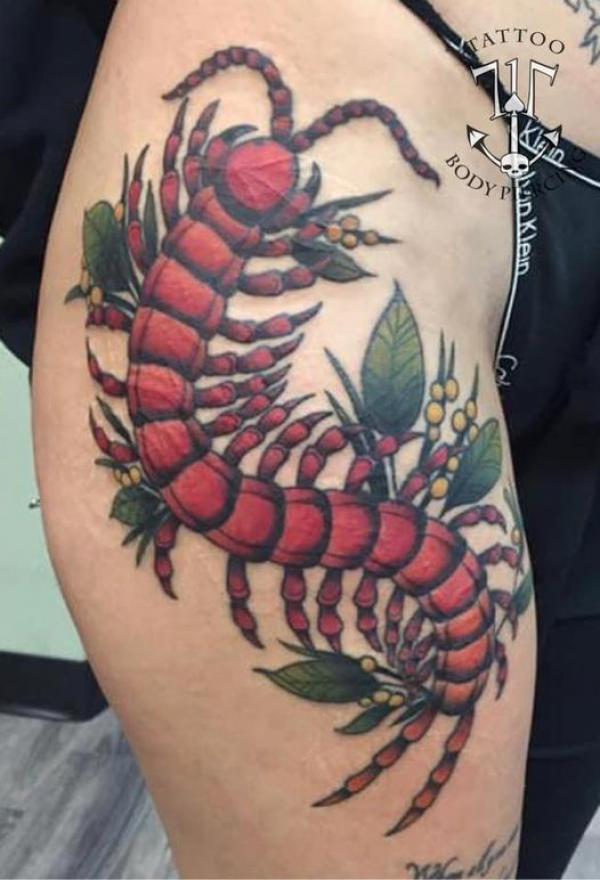 Americhan traditional centipede tattoo shoulder