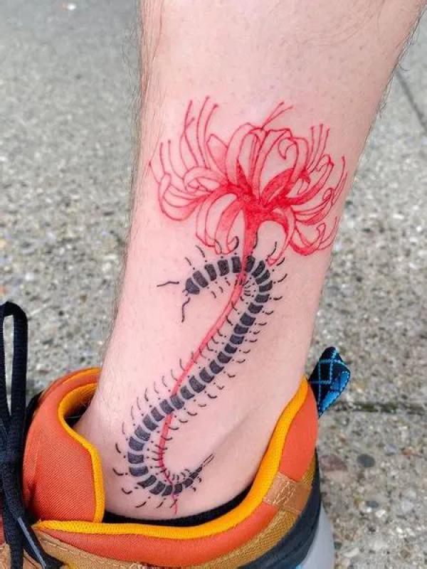 Centipede and red spider lily tattoo on lower leg