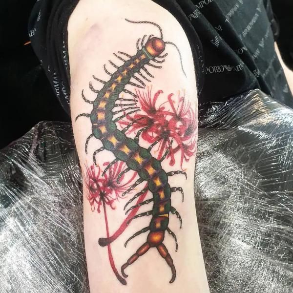 Centipede and spider lily tattoo upper arm