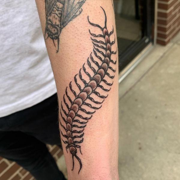 Traditional Centipede Tattoo forearm