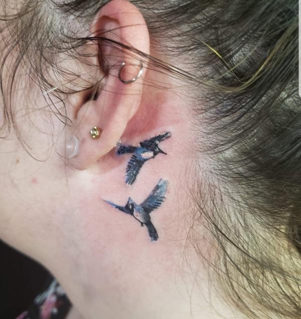 Two small blue jay tattoo behind ear