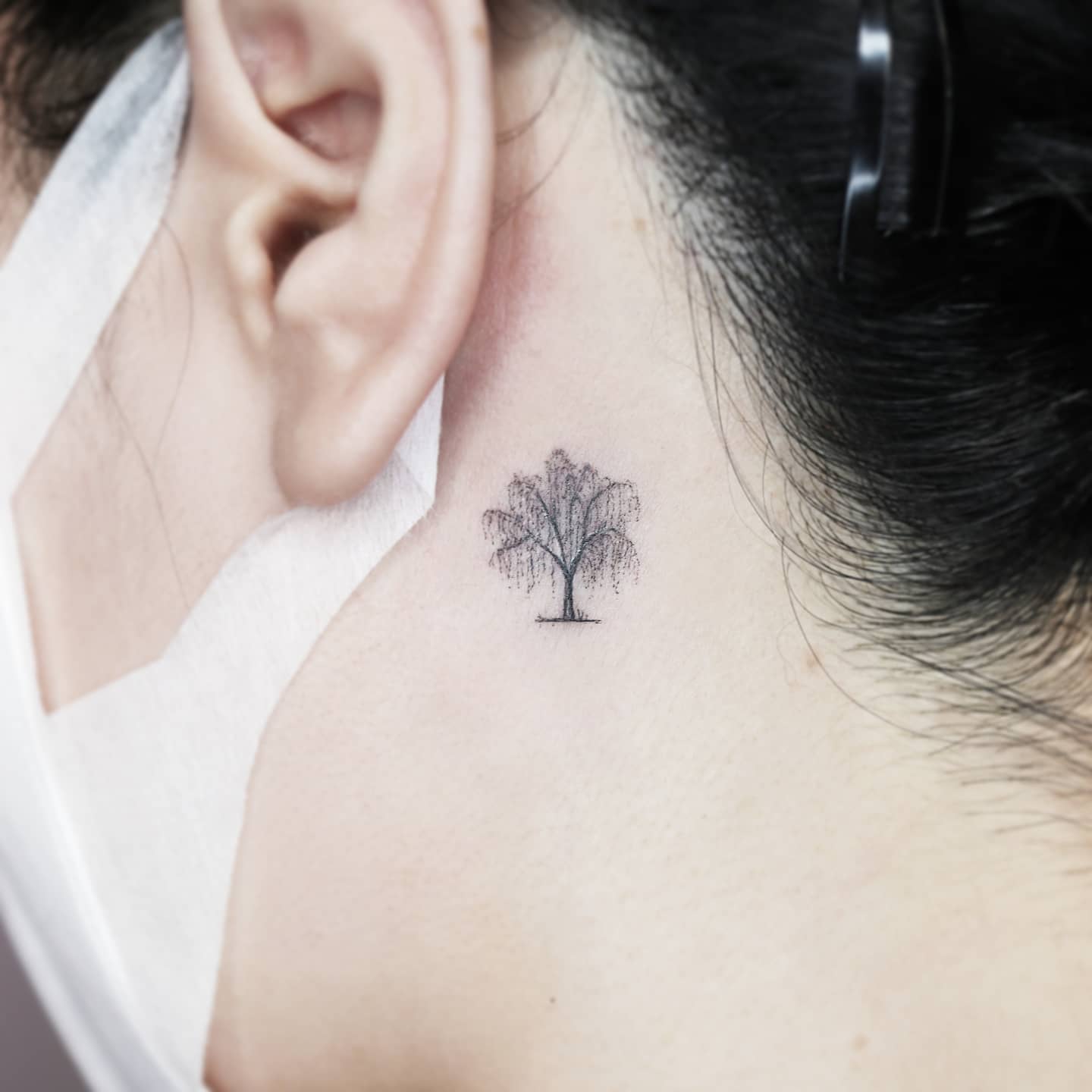 Willow tattoo behind ear