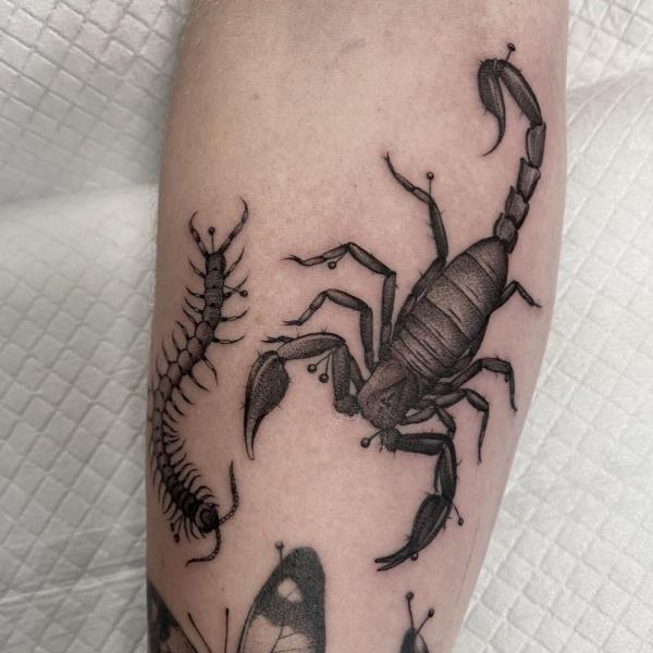 scorpion and centipede tattoo on arm